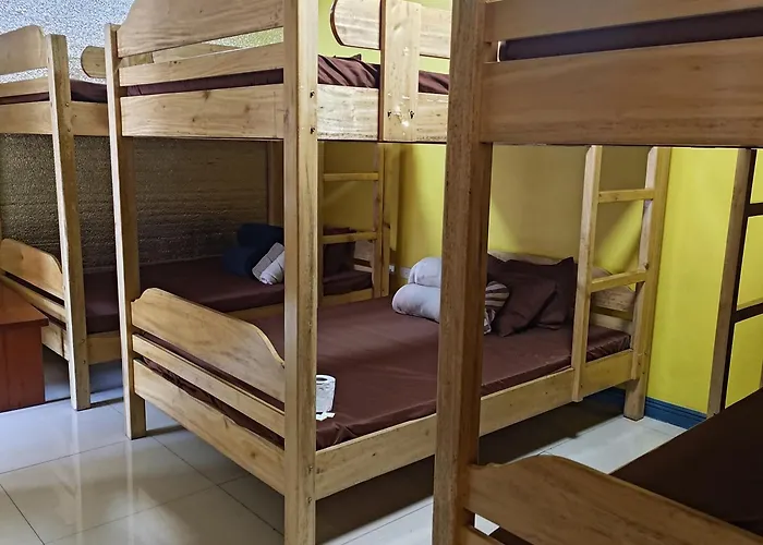 Zenmist Properties- Backpackers Haven