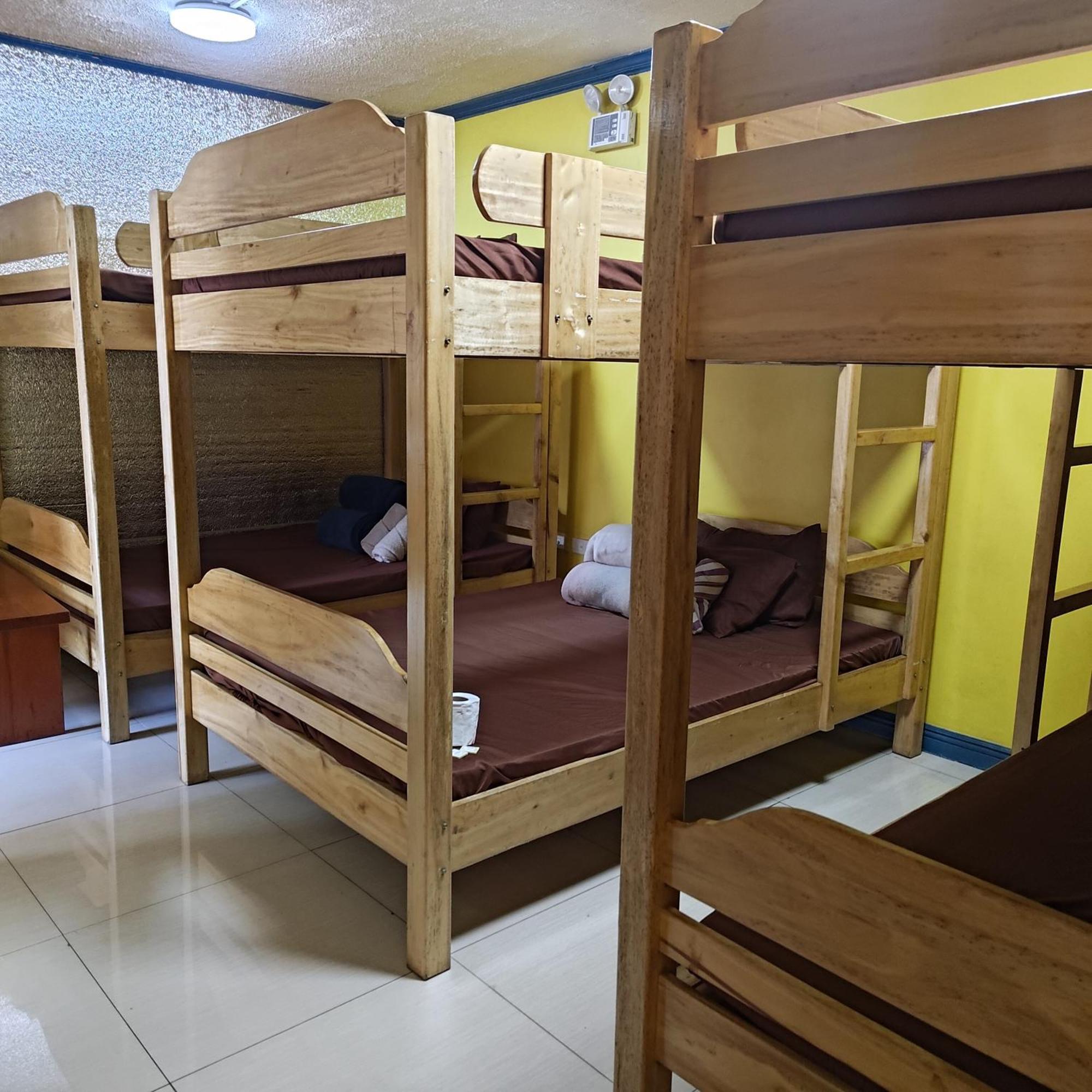 Zenmist Properties- Backpackers Haven Apartment *
